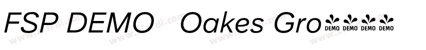 FSP DEMO   Oakes Gro字体转换